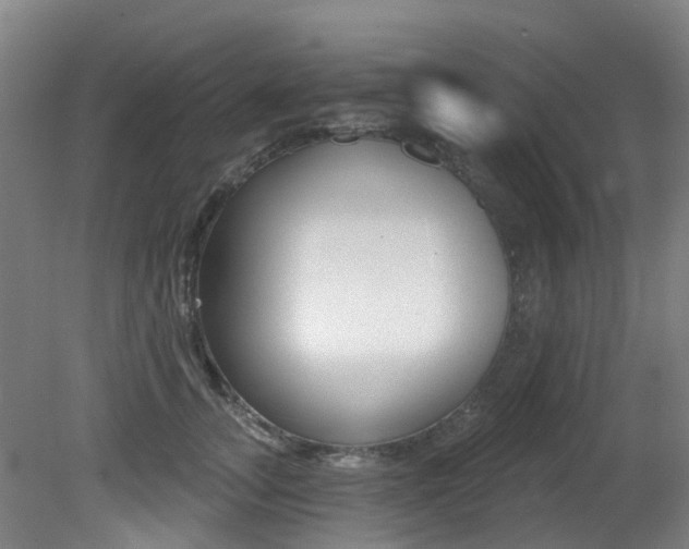X0000081280755200701110934