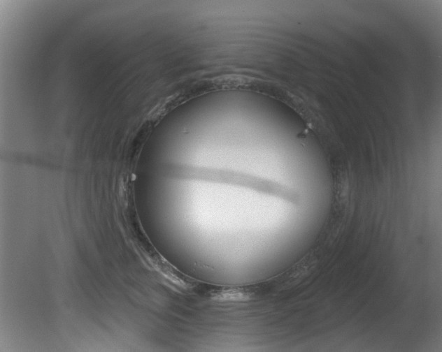 X0000081280759200701110934