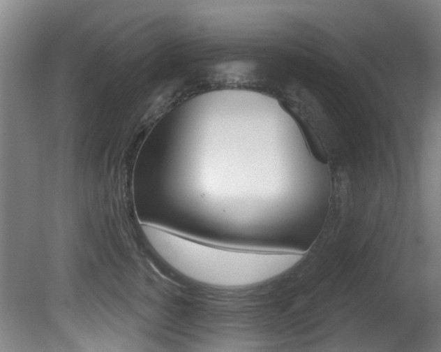 X0000081280760200701110934