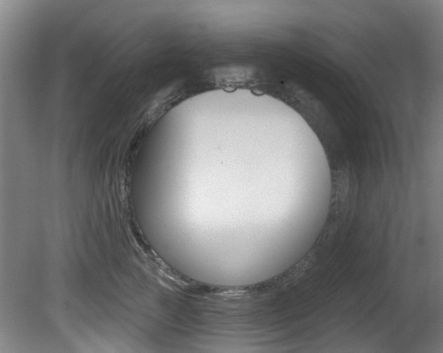 X0000081280761200701110934