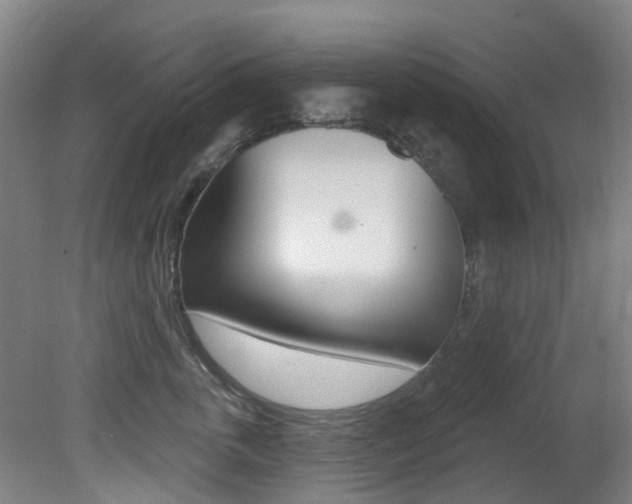 X0000081280763200701110934