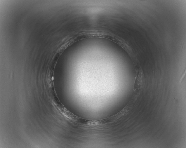 X0000081280764200701110934