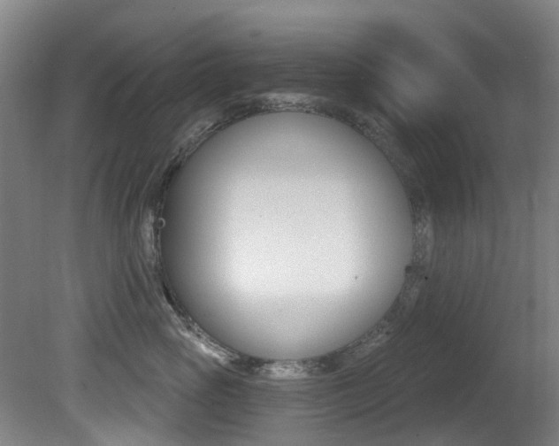 X0000081280765200701110934