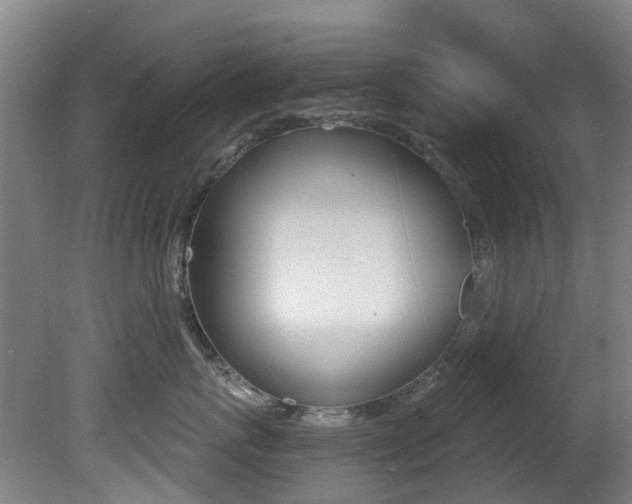 X0000081280767200701110934