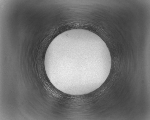 X0000081280769200701110933