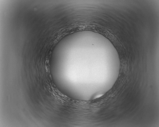 X0000081280770200701110933