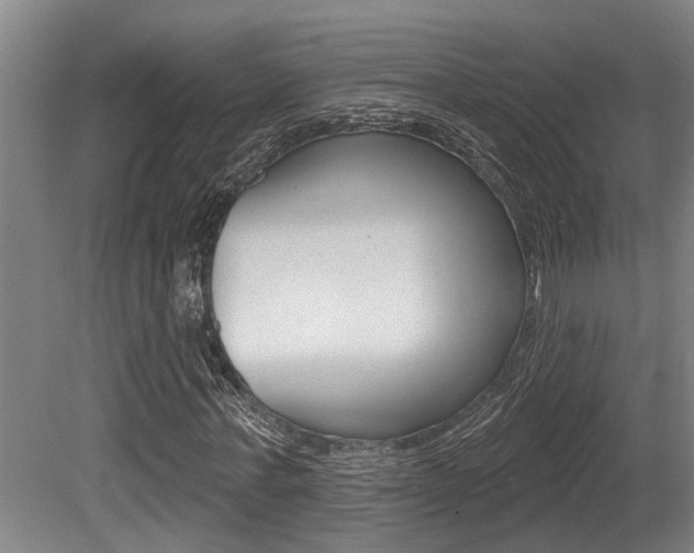 X0000081280771200701110933