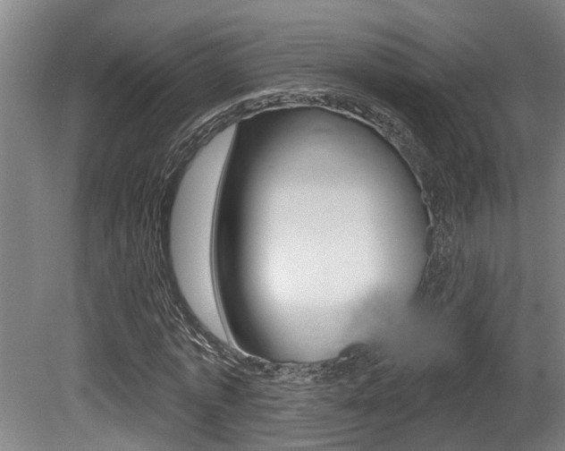 X0000081280773200701110933