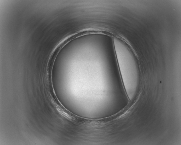 X0000081280779200701110933