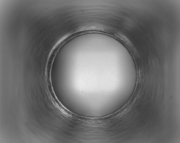 X0000081280780200701110933