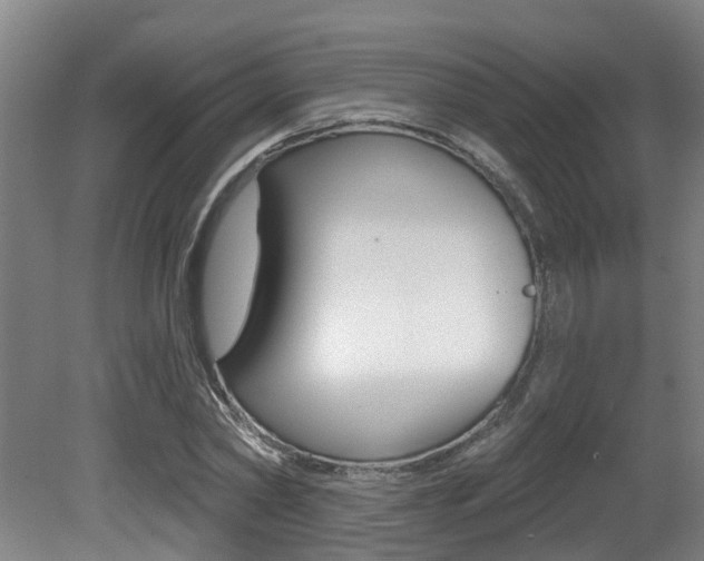 X0000081280782200701110933