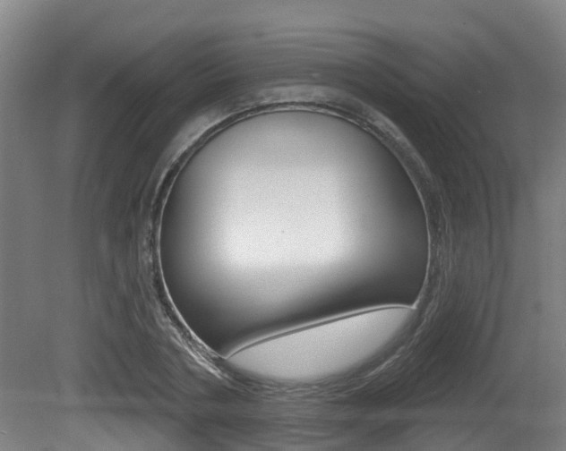 X0000081280786200701110933