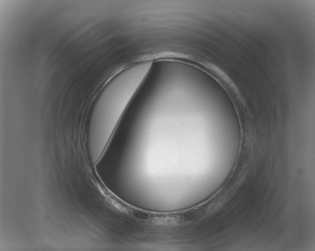 X0000081280793200701110933