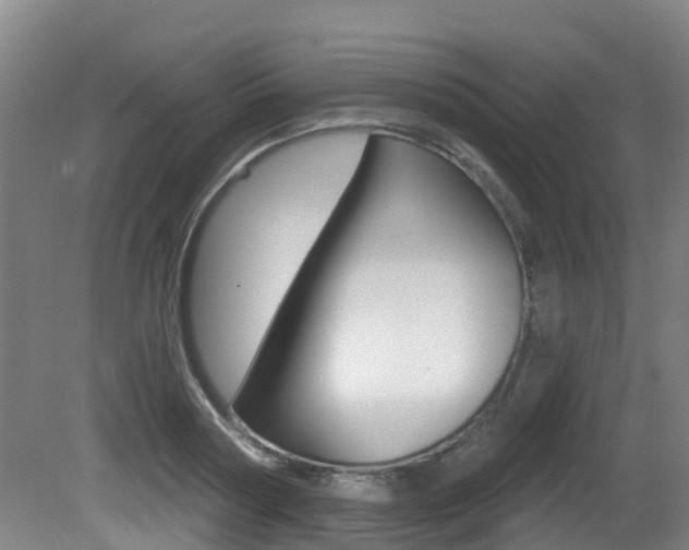 X0000081280794200701110933