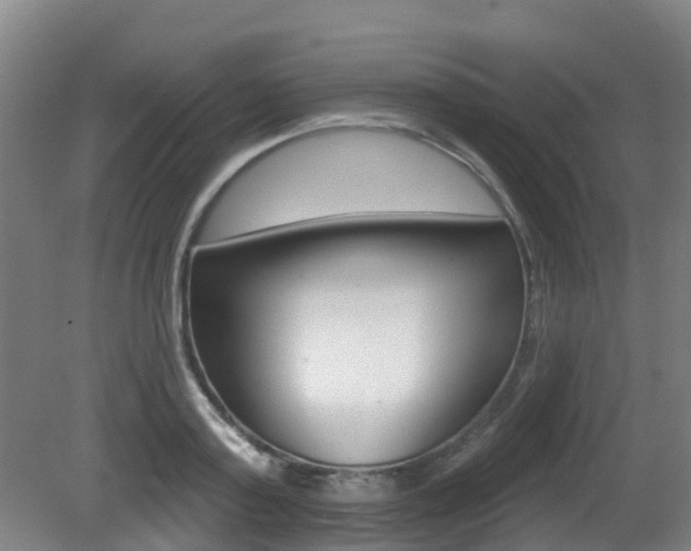 X0000081280795200701110932