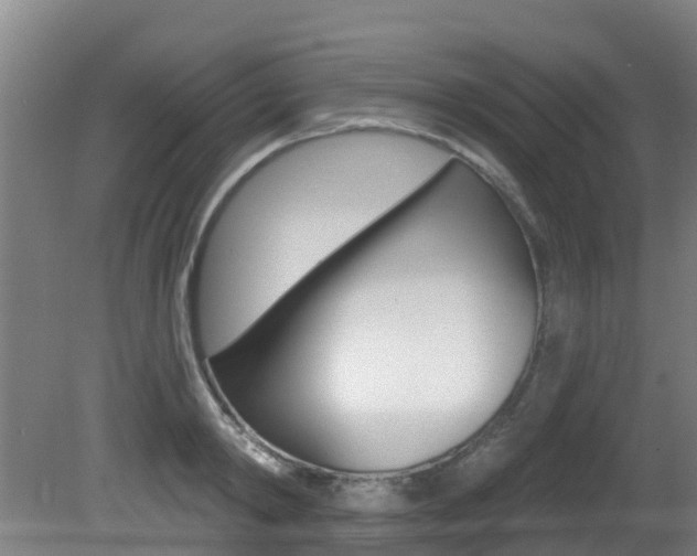 X0000081280798200701110932