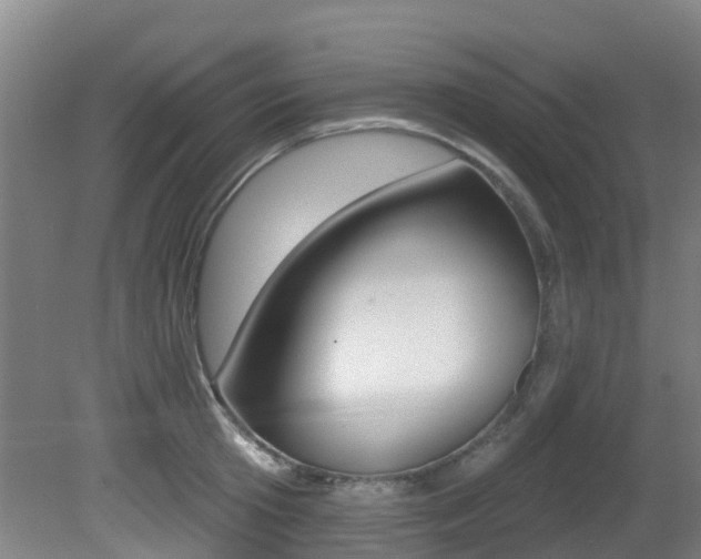 X0000081280801200701110932