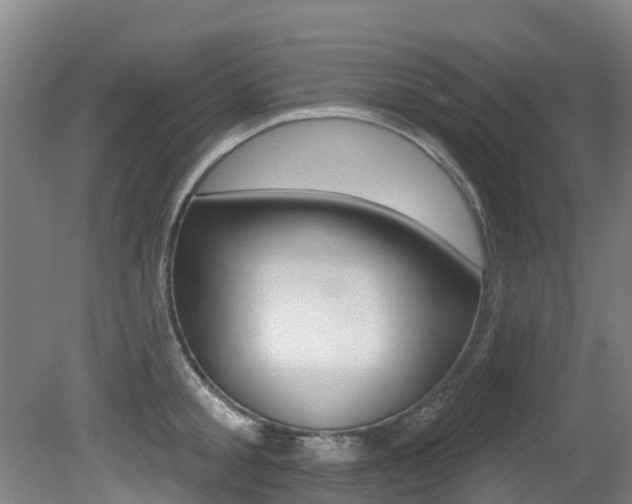 X0000081280805200701110932