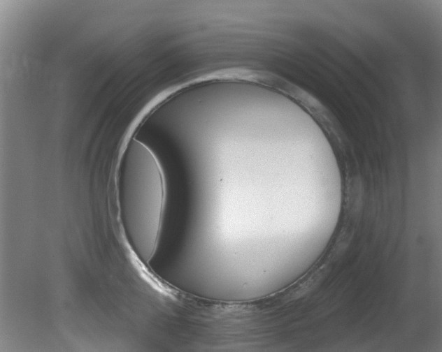 X0000081280808200701110932
