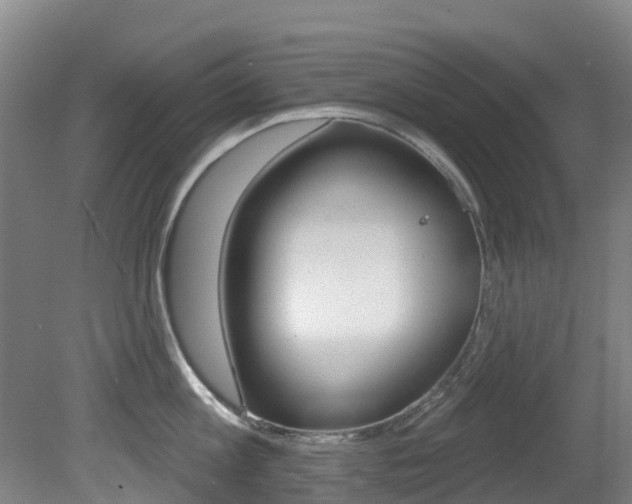 X0000081280813200701110932