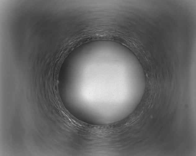 X0000081280817200701110931