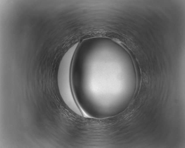 X0000081280818200701110931