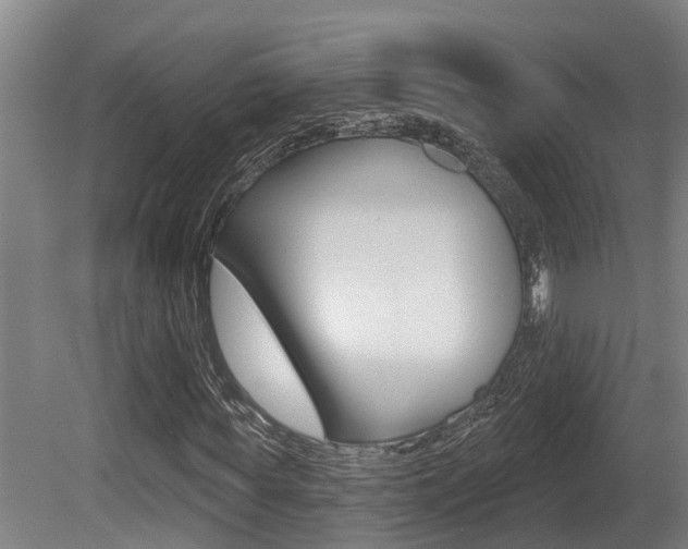 X0000081280819200701110931