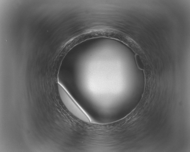 X0000081280822200701110931