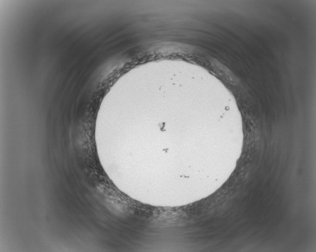 X0000081280824200701110931