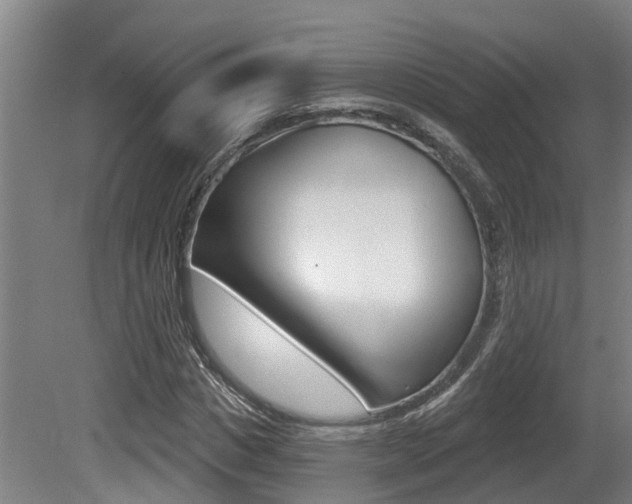 X0000081280825200701110931
