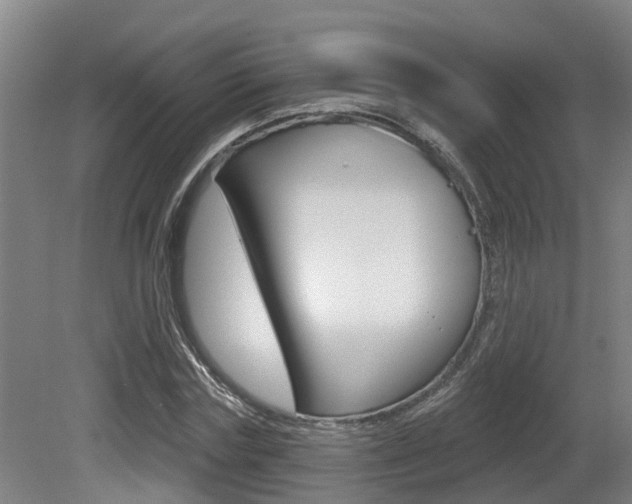X0000081280827200701110931