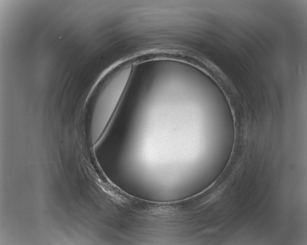 X0000081280830200701110932