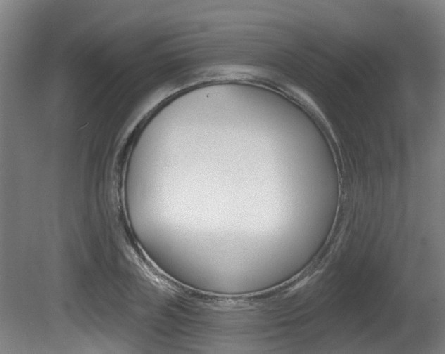 X0000081280835200701110932