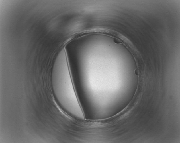 X0000081280841200701110932