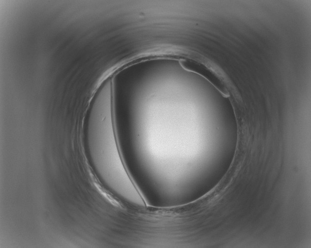 X0000081280842200701110932