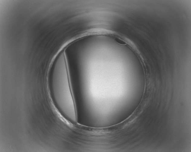X0000081280843200701110932