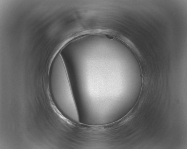 X0000081280844200701110932