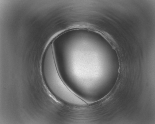 X0000081280846200701110932