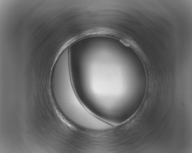 X0000081280850200701110932