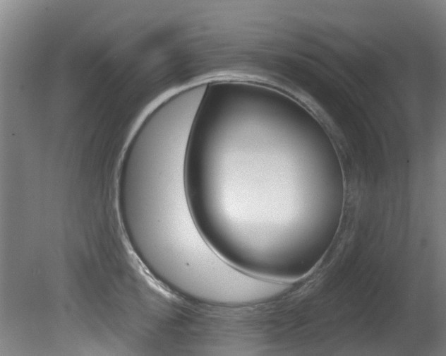 X0000081280854200701110932