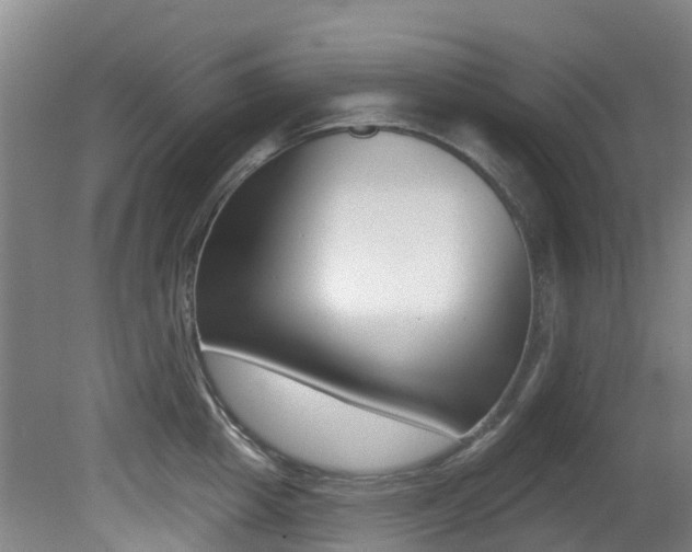 X0000081280857200701110932