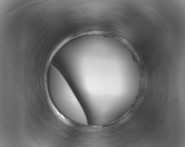 X0000081280859200701110932