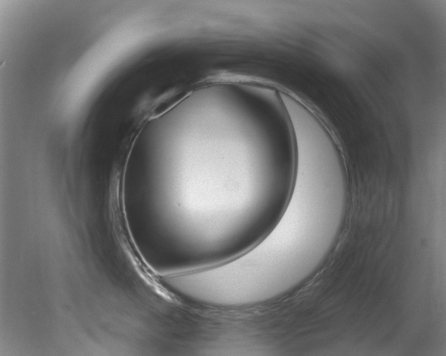 X0000081280862200701110932