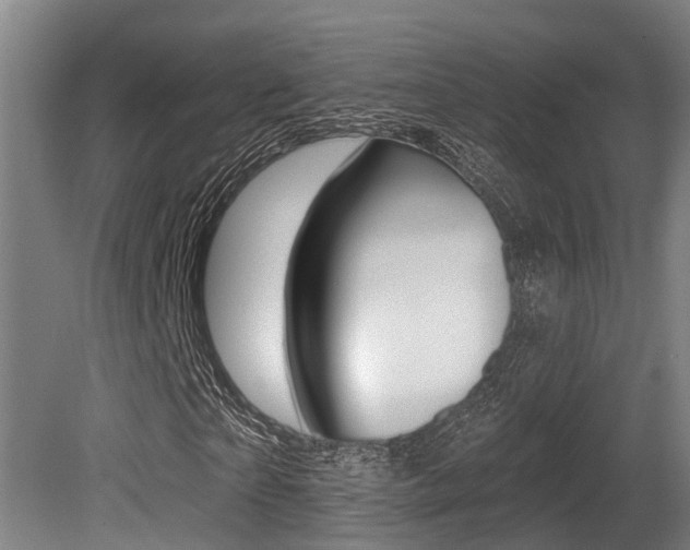 X0000081280865200701110931