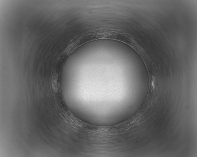 X0000081280867200701110931