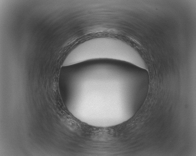 X0000081280869200701110931