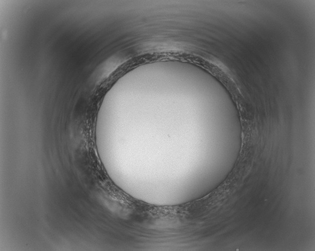 X0000081280871200701110931