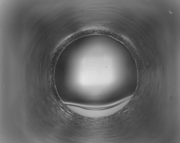 X0000081280872200701110931