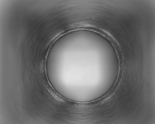 X0000081280873200701110931