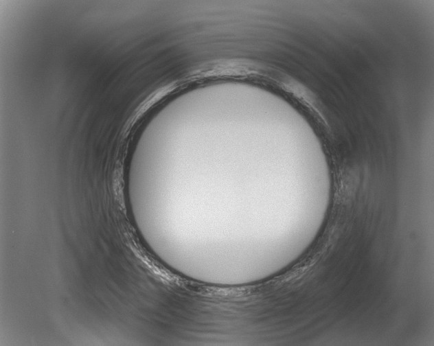 X0000081280874200701110931
